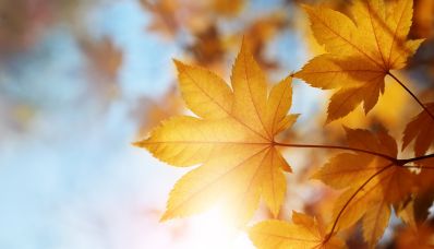 Setembro Amarelo e a importância do cuidado à saúde mental